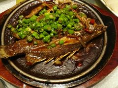 -毛家饭店(澳德乐店)