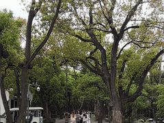-东湖落雁景区