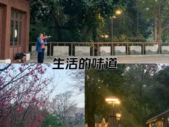 -成都市活水公园