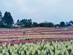 -保利石象湖景区