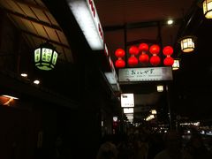 -键善良房(本店)