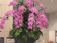 -上海虹桥西郊假日酒店