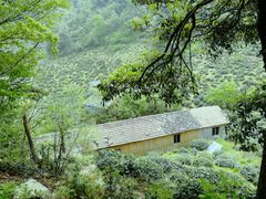 -东白山