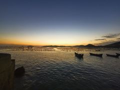 -枸杞岛
