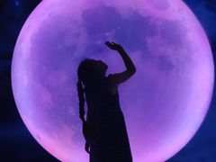-天津梵高星空艺术馆(天河城旗舰店)