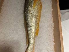 -新荣记(BFC外滩金融中心店)