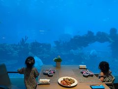 -海棠湾洲际-涛·海底餐厅·美人鱼·自助餐·海底隧道