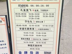 -西双版纳原始森林公园