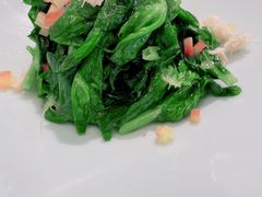 -肆月河豚·新淮扬(金融街店)