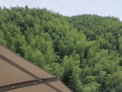 -将军关探险漂流