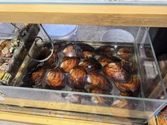 -十八字金银饰·拼豆·开蚌手工体验团建(君太百货店)