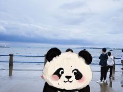 -崂山仰口游览区