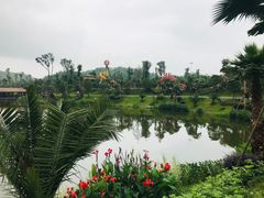 -枫香湖儿童公园