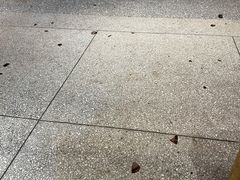 -巴人堂(女儿城店)