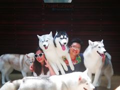 -TrueLove @ Neverland (Husky Cafe)