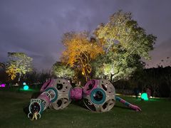 -福建鲤鱼洲酒店