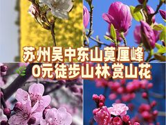 -雨花胜境