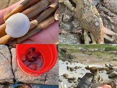 -巧克力渔家.小船海鲜胶东菜(万平口店)