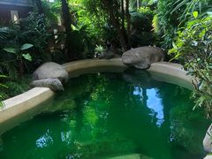 -稷泽·海丽宾雅温泉度假酒店