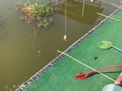 -同銮特种养殖场·龙虾垂钓