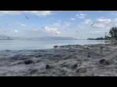 -阿妈土锅鸡