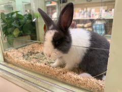 -龙猫仔乐园(惠福东路店)