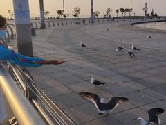 -东港音乐喷泉广场