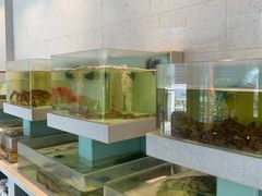 -至尊鲨鱼·原烹海鲜·新浙菜(拱宸桥店)