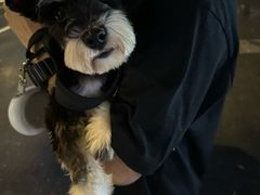 -狗不理喵子(百富路店)