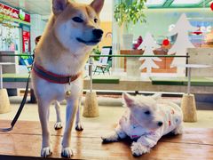 -微焙咖啡工厂(海峡创意产业园·红坊店)