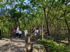 -紫金山山顶公园