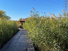 -永定河休闲森林公园