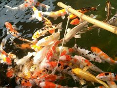 -石家庄极地海洋世界