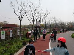 -上海长兴岛郊野公园