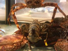 -黄商生活超市(黄冈黄州万达店)