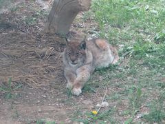 -大连森林动物园