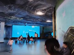 -海合安成都极地海洋公园