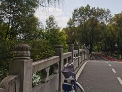 -八大山人梅湖景区