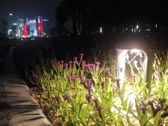 -华侨公园