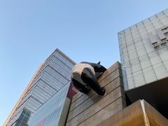-小龙翻大江文化火锅(太古里店)
