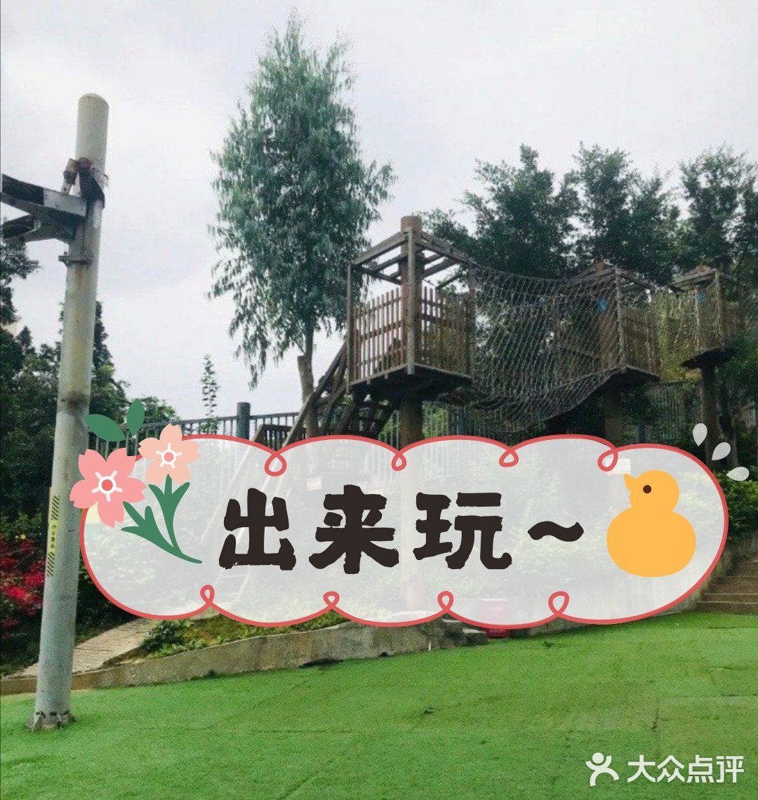 真的太棒了！️温馨提示：适合4-12岁的孩子