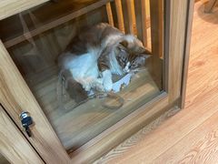 -白兔子密室(长寿路店)