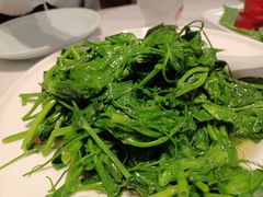 -蜀阳餐厅·金牌水煮鱼