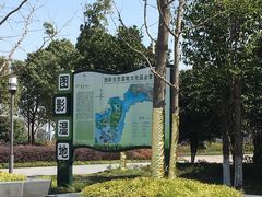 -长兴太湖图影湿地文化园
