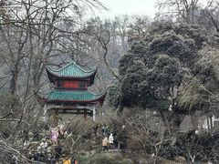 -岳麓山风景名胜区