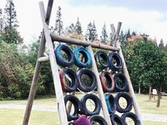 -前小桔亲子创意农场·草莓采摘·露营烧烤