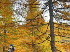 -苏木山森林公园