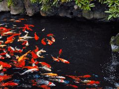 -真如寺
