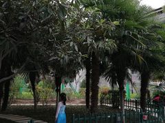 -莲湖公园