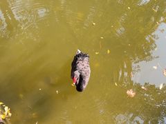 -水绘园